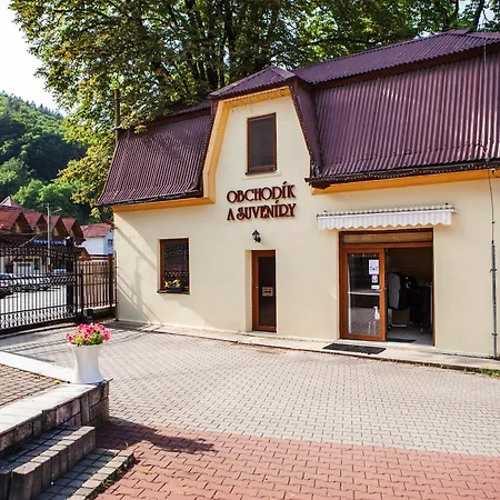 Goethe - Kupelne Pobyty S Procedurami V Liecebnych Termalnych Kupeloch Hotel *