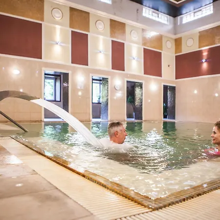 Hotel Goethe - Kupelne Pobyty S Procedurami V Liecebnych Termalnych Kupeloch *